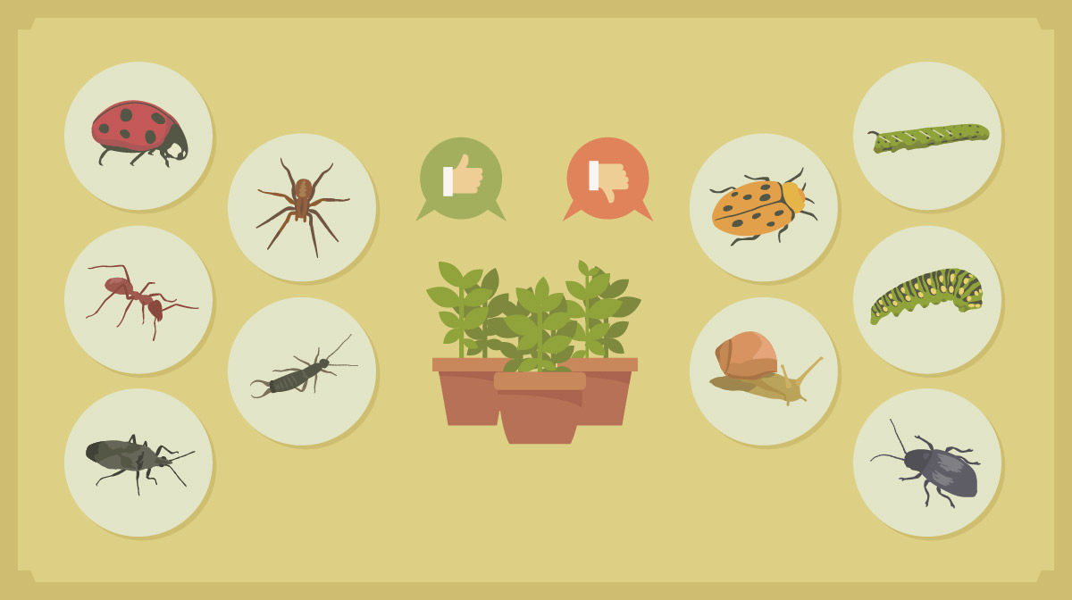 pest control park city