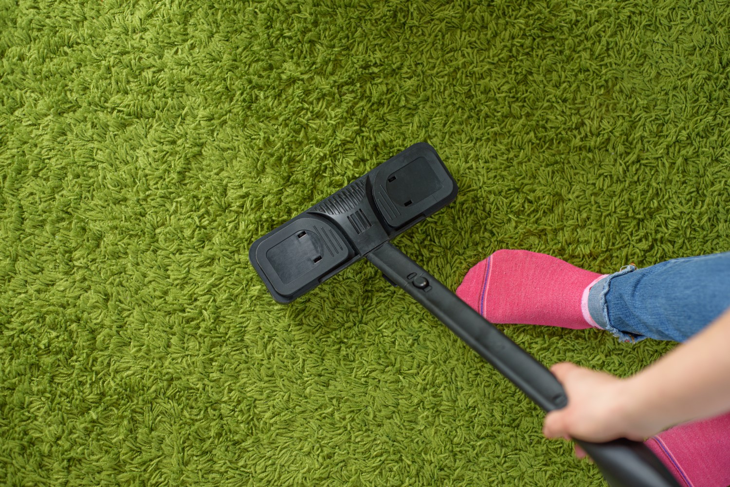 Eco-Friendly Carpet Cleaning Options in Park City